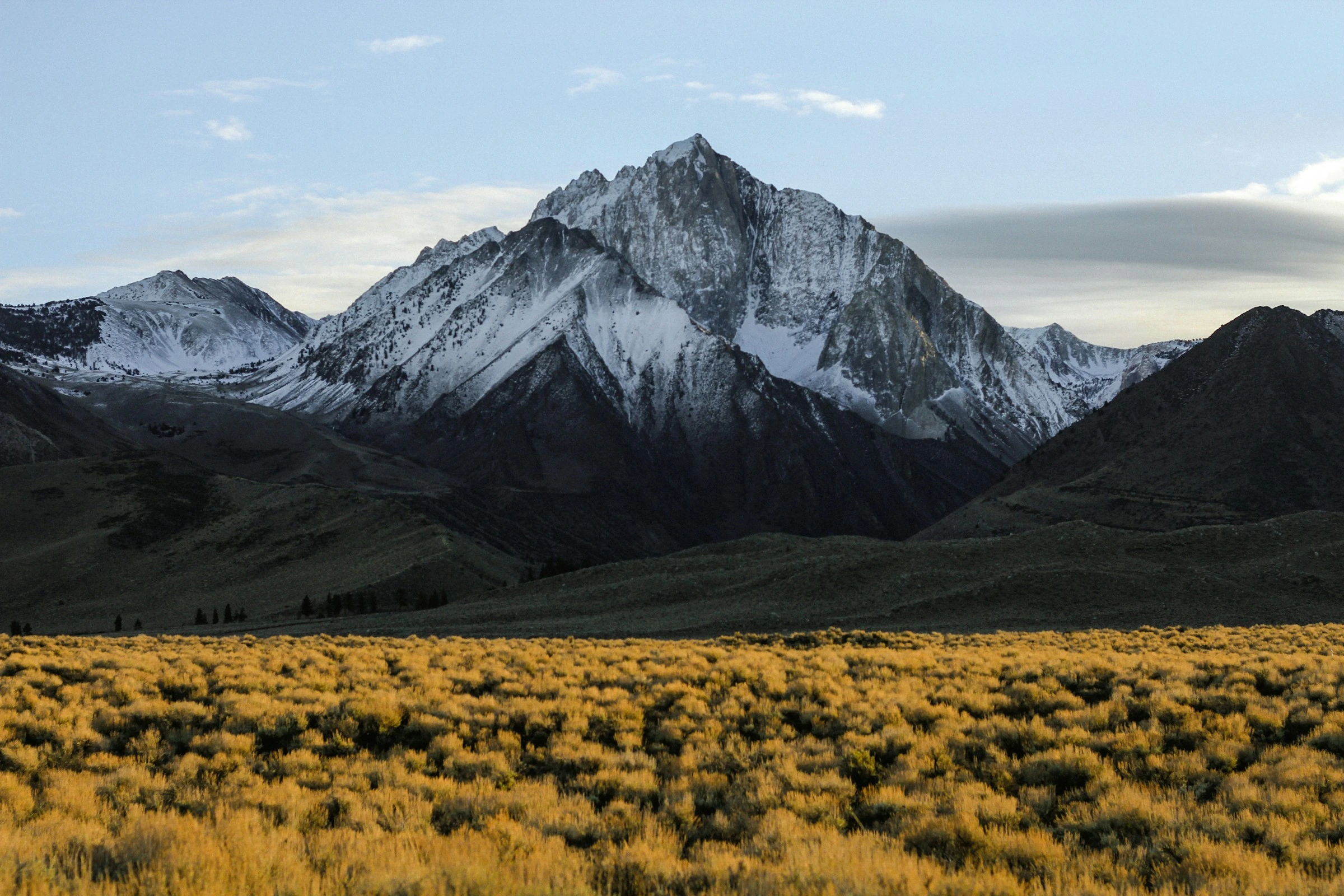 Snow-covered mountain peak above golden alpine meadows